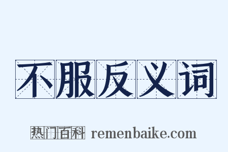 不服反义词是什么意思的图片